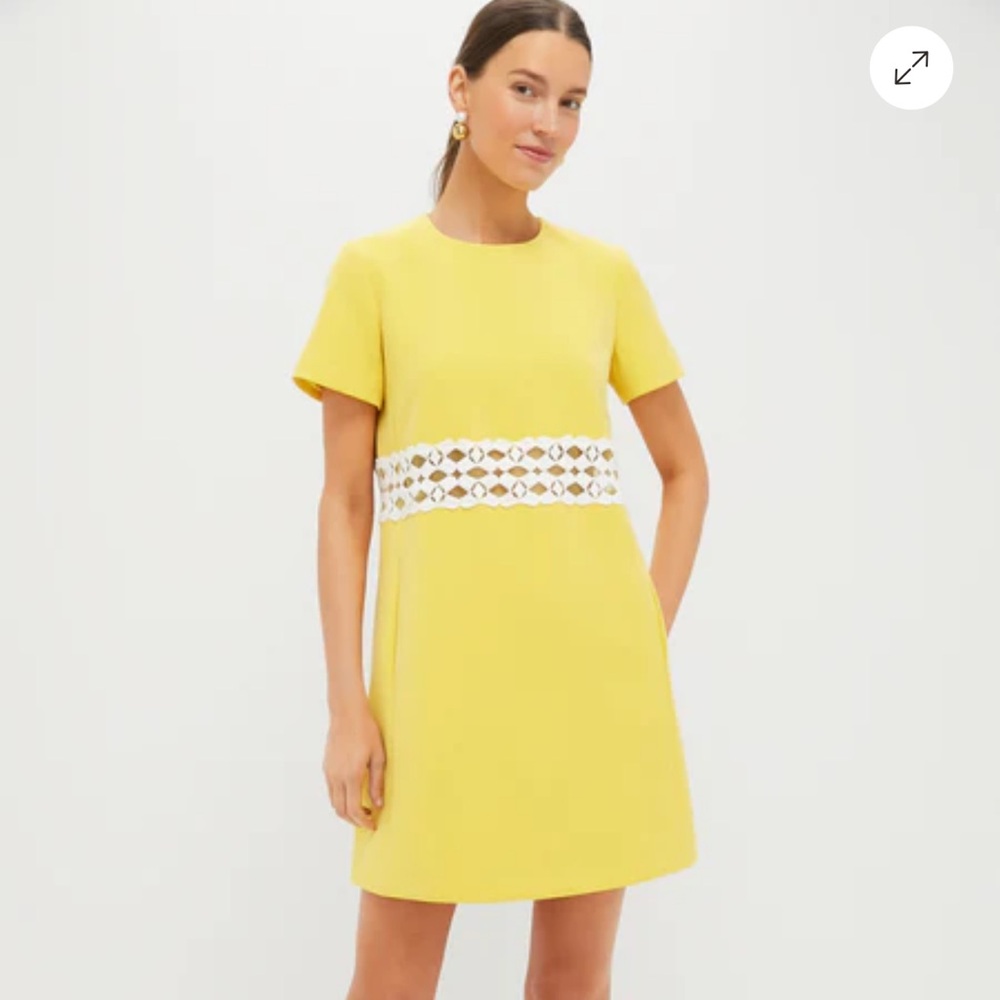 TUCKERNUCK Canary Mod Camelot Dress M